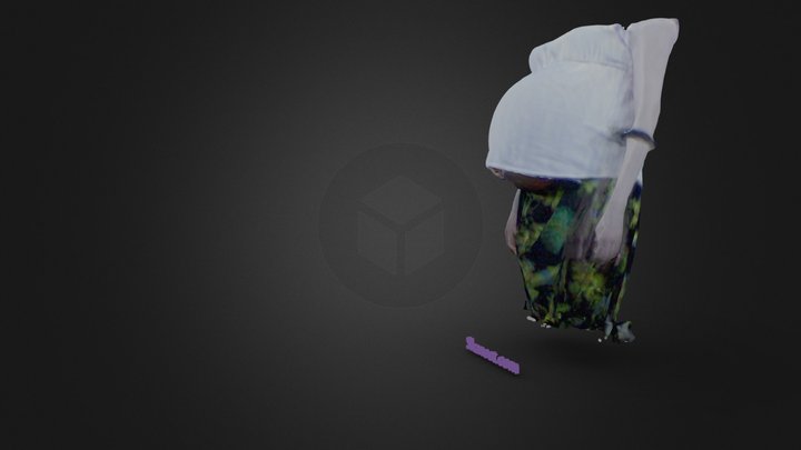 34 Semanas 3D Model