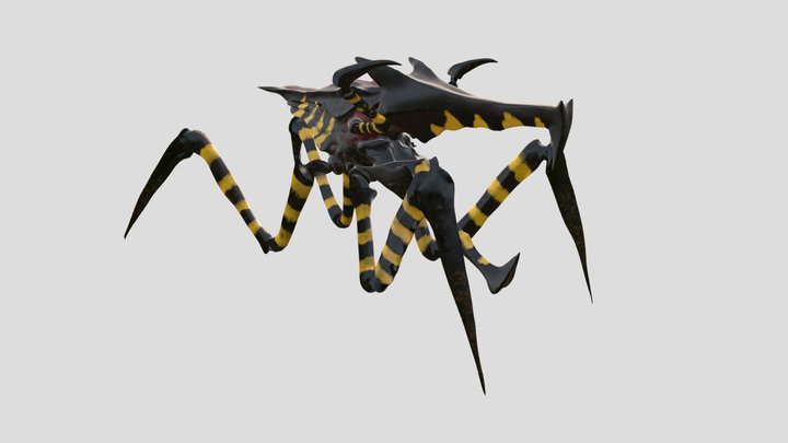 Arachind 3D Model