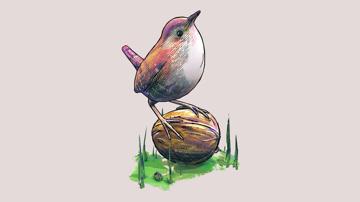Eurasian wren 3D Model