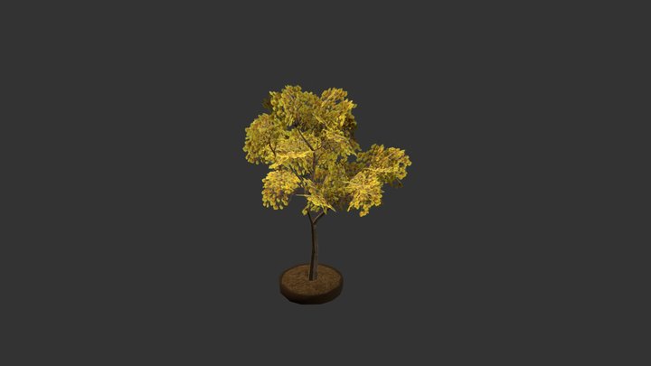 Corteza Amarilla 3D Model