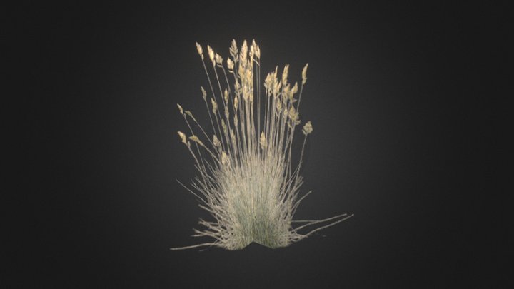 Lowpoly plant 3D Model