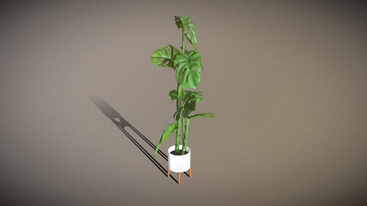 Potted Monstera Plant Tur 3D Model