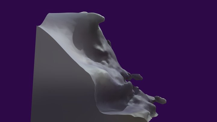 Mushroom 3D Model