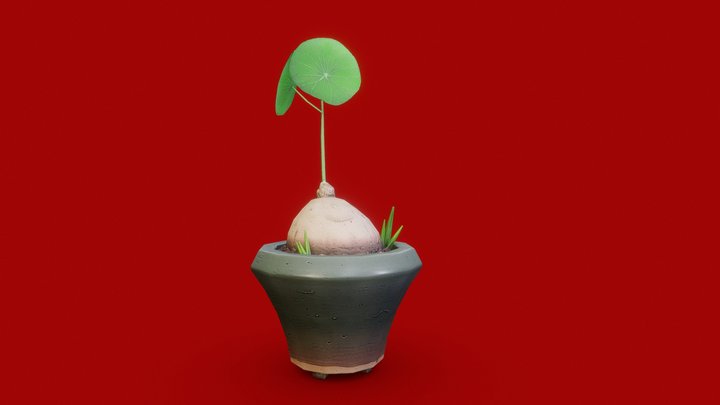 Stephania Erecta Pot 3D Model