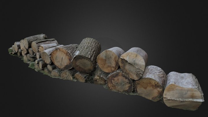 Logs 3D Model