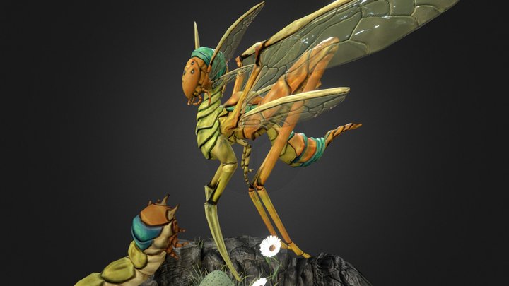 Sylpha metusaris 3D Model