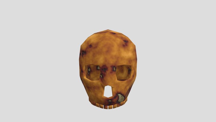 Skull 3D Model